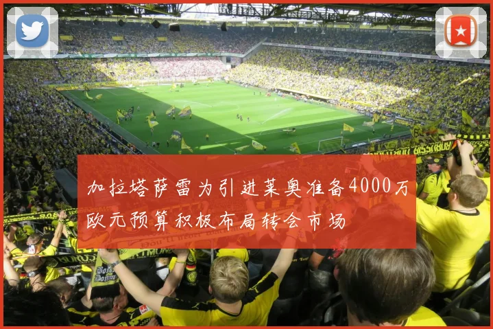 加拉塔萨雷为引进莱奥准备4000万欧元预算积极布局转会市场
