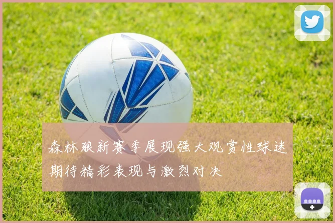 森林狼新赛季展现强大观赏性球迷期待精彩表现与激烈对决